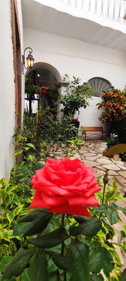 El Jardin De La Abuela Hotel Querétaro Exterior foto