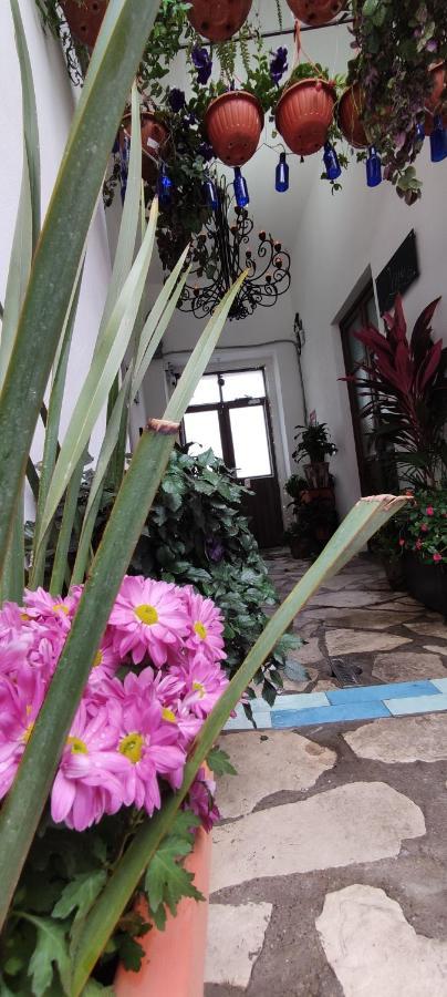 El Jardin De La Abuela Hotel Querétaro Exterior foto
